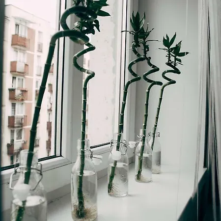 Apartament Mikolaja Reja * ורוצלב
